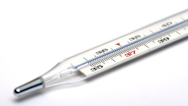 Die Symptome ähneln jener der Malaria: Fieber, Kopfweh, Hautausschlag.