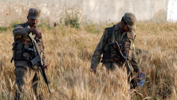 Zwei Soldaten stehen mit Gewehren in einem Weizenfeld.
