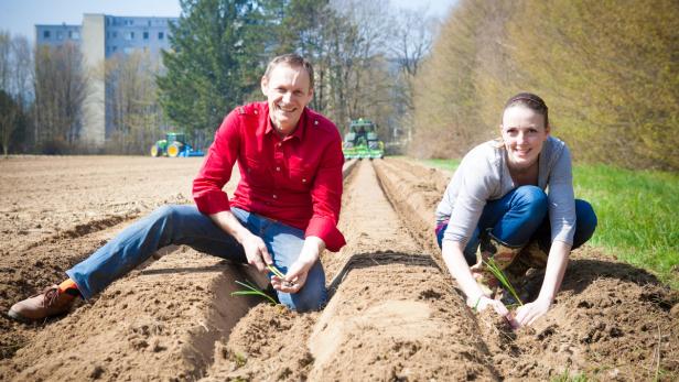 In Auhof entstehen mitten im Siedlungsgebiet 85 Garten-Parzellen: Stadler und seine Mitarbeiterin Irmgard Elias (31) pflanzen Bio-Porree vorab.