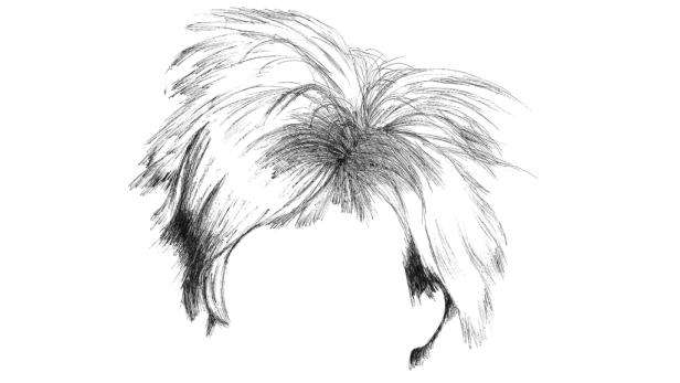 Zu welchem Star gehört die Frisur?