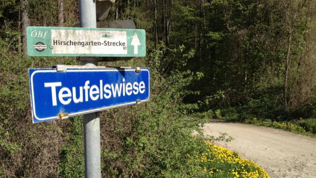 Ein Wegweiser zeigt zur Teufelswiese und zur Hirschengarten-Strecke.