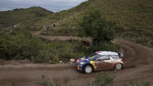 Loeb übernimmt Führung in Argentinien