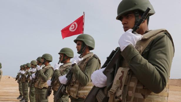 Tunisia erects anti-jihadi fence along border with