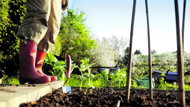 Gartenarbeit