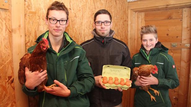 Fachschüler aus NÖ bauen einen Stall für die Hühner