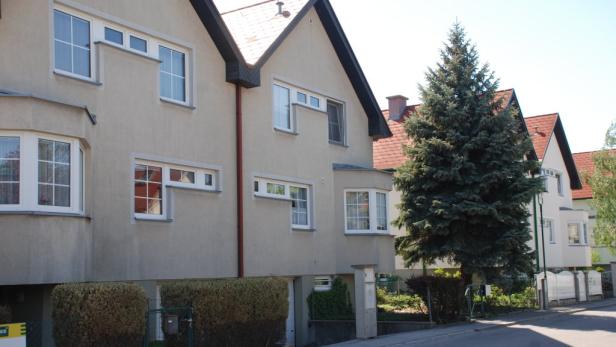 Mehrere Wohnhäuser mit roten Dächern und einem großen Nadelbaum im Vordergrund.