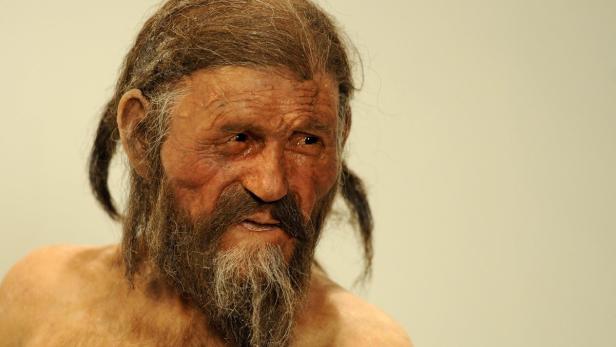 Ötzi: Steinzeitlicher Speck dürfte sein letztes Essen gewesen sein.
