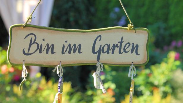 Auch wenn Temperaturen unter dem Nullpunkt noch ein Risiko darstellen, kann man ab März im Garten wieder richtig loslegen.