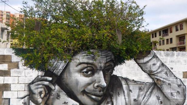 Ein Graffito zeigt ein Gesicht mit einem Baum als Haare, der sich mit einem Kamm kämmt.