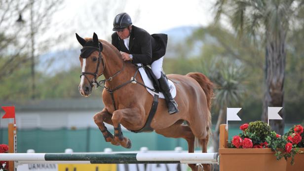 Ein Reiter springt mit seinem Pferd über ein Hindernis bei einem Reitturnier.