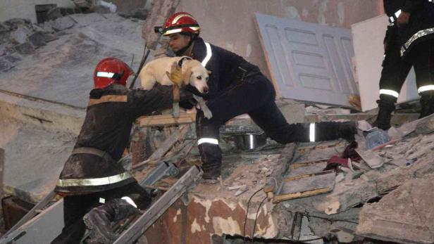 Zwei Rettungskräfte bergen einen Hund aus den Trümmern eines eingestürzten Gebäudes.