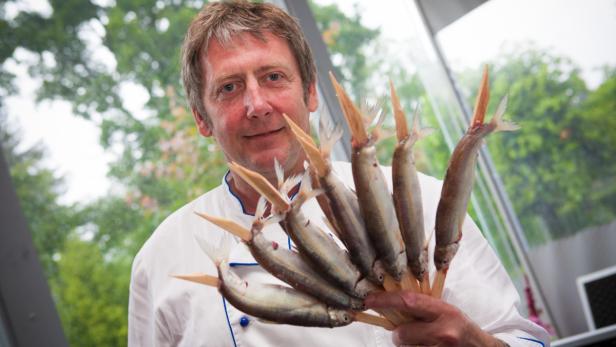 Riedlinge sind eine Besonderheit des Traunsees. Sie werden auch Steckerlfisch genannt. Es gibt sie sonst nur noch im sibirischen Baikalsee.