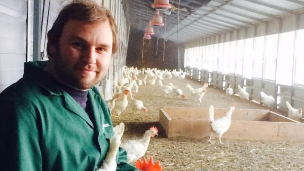 Bernd Mayer hält Biolegehennen im Südburgenland. Finanziell könnte der Hühner-Hausarrest zum Problem werden