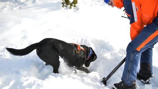 Ein Mann mit einem schwarzen Hund sucht im Schnee nach etwas.