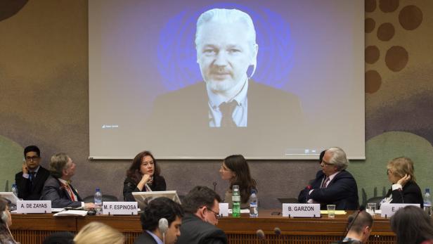 Julian Assange bei einer Videokonferenz