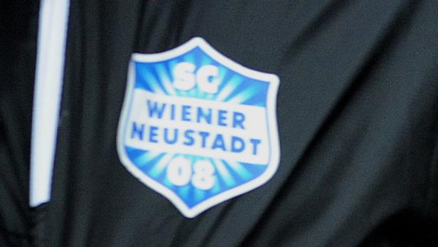Wiener Neustadt arbeitet an der Bundesliga-Rückkehr.