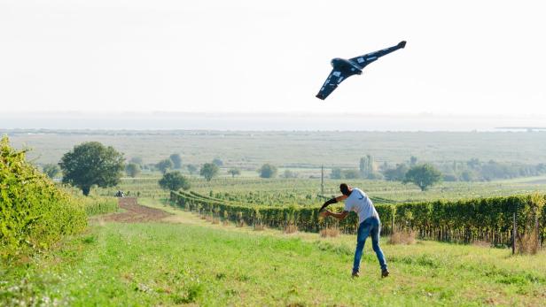 Drohne zur Stareabwehr im Weingarten bei Rust