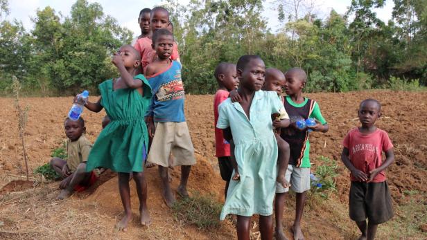 Kinder in einem kenianischen Dorf nahe dem Victoriasee: Viele erkranken mehrmals pro Jahr an Malaria