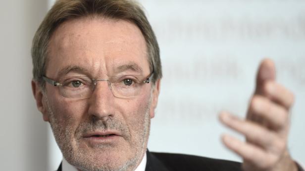 Verfassungsjurist Heinz Mayer