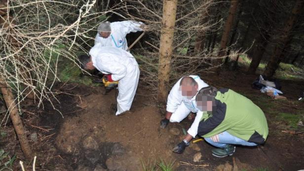 Mehrere Personen graben im Wald ein Loch.