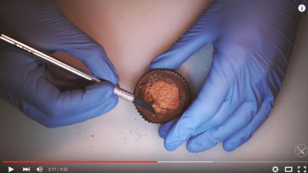 Food Surgeon: Dieser Chirurg operiert Essen