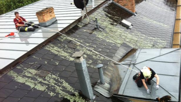 Zwei Arbeiter mit Sicherheitsausrüstung reinigen ein Dach mit verschiedenen Ziegelarten.