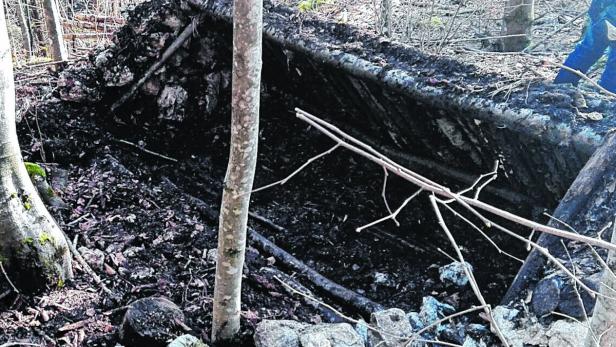 In diesem Verschlag am Fuße der Zimnitz hat ein Landwirt das Skelett gefunden