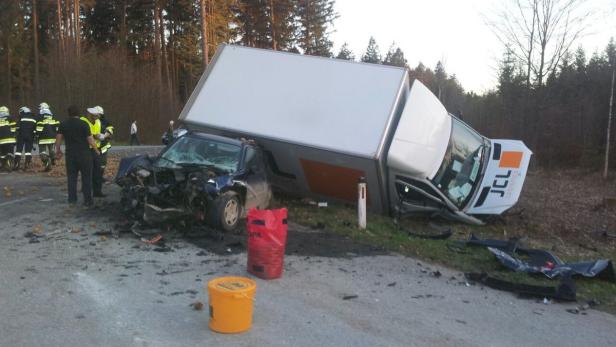 Ein Hund überlebte den Unfall bei Heidenreichstein nicht.