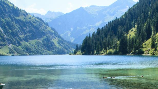 Die Suche nach dem Haus am See