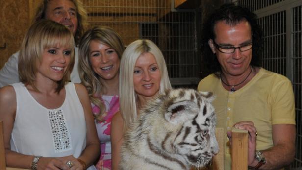 Von Taufpatein Francine Jordi gab es als Geschenk Fleisch und Knochen für die weißen Tiger