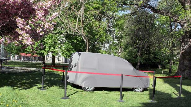 Ein mit einer Plane abgedecktes Auto steht auf einer Wiese in einem Park.