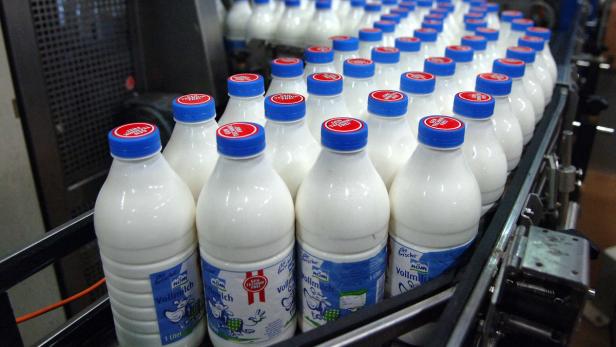 EU-Agrarminister: Keine neue Milchquote