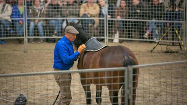 Der 81-Jährige bei einer seiner Shows