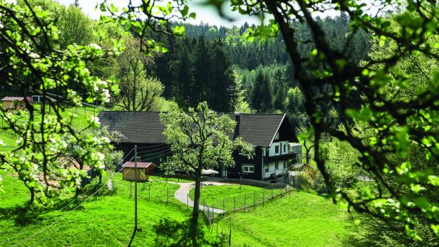 Diesen Hof in Maria Schmolln, OÖ, hat der Gnadenhof 2011 geerbt.