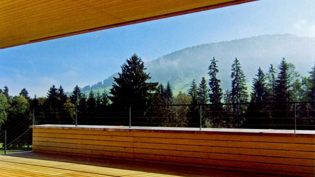 Blick von einer Holzterrasse auf einen bewaldeten Hügel unter blauem Himmel.