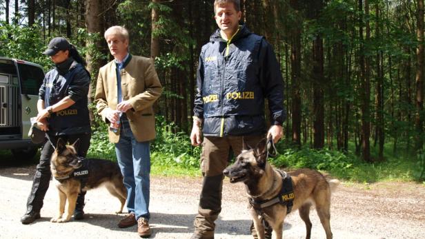 Drei Personen in Polizeiuniform stehen mit zwei Hunden in einem Waldstück.