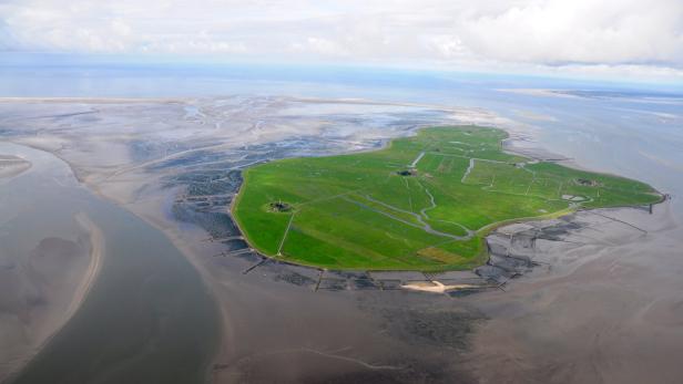 Luftaufnahme der Hallig Südfall im nordfriesischen Wattenmeer.