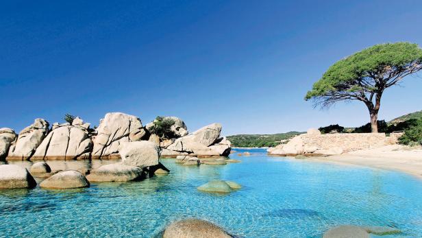 Türkisblaues Wasser umspült Felsen und einen Sandstrand mit einem einzelnen Baum.