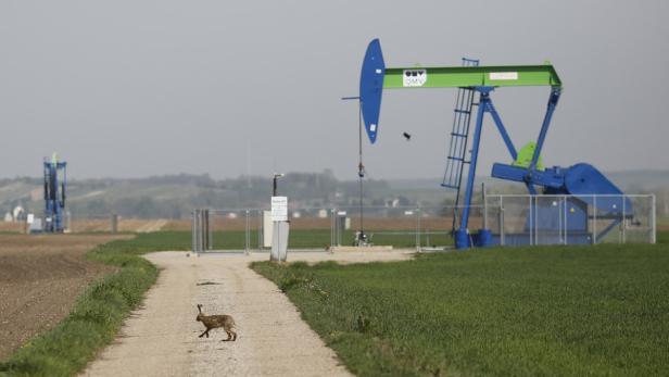 Ein Hase läuft über einen Feldweg vor einer Ölförderanlage.