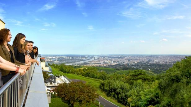 An der Modul University Vienna am Wiener Kahlenberg kann man Tourismus studieren.