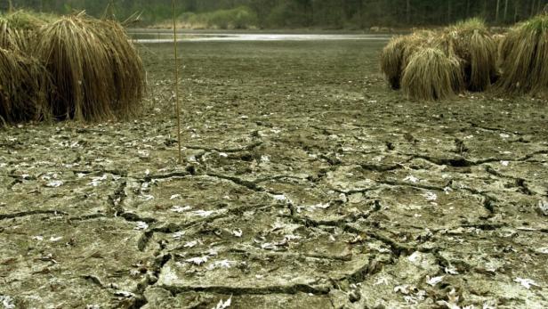 Ein ausgetrockneter See mit rissiger Erde und Büscheln aus trockenem Gras.