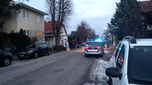 Vier betrunkene Asylwerber wurden in Guntramsdorf kurzfristig festgenommen.