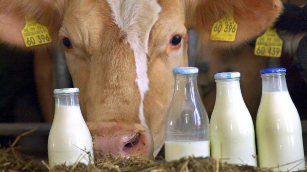 Milchprodukte um 1,16 Mrd. Euro exportiert