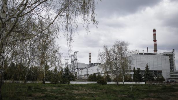 Das Kernkraftwerk Tschernobyl mit Bäumen im Vordergrund.