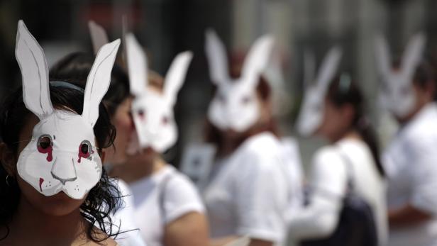 Activists from the animal rights group AnimaNaturalis wear rabbit masks as they protest against animal testing for cleaning products in Mexico City May 15, 2011. REUTERS/Jorge Dan Lopez (MEXICO - Tags: SOCIETY CIVIL UNREST)
