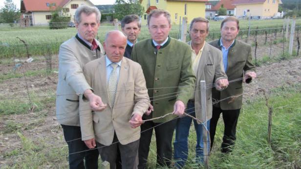 Eine Gruppe von Männern steht in einem Weinberg vor Wohnhäusern.