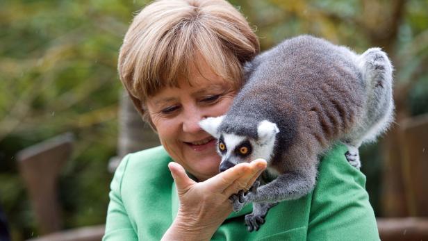 Angela Merkel mit einem Lemur auf ihrer Schulter.