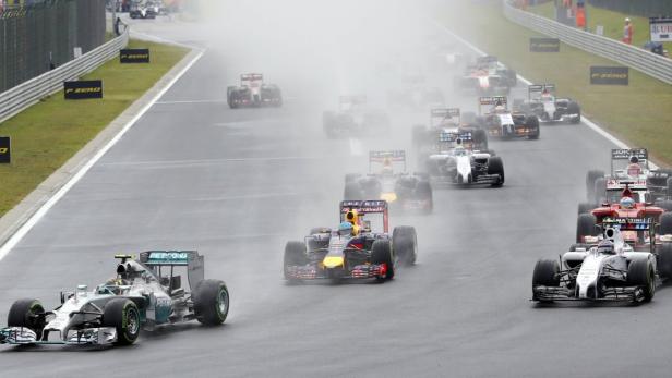 Nico Rosberg führte das Feld in Ungarn an. Der deutsche Mercedes-Pilot verlor im Rennen aber einige Plätze und hatte mit dem Sieg nichts mehr zu tun. Der WM-Führende wurde schlussendlich Vierter.
