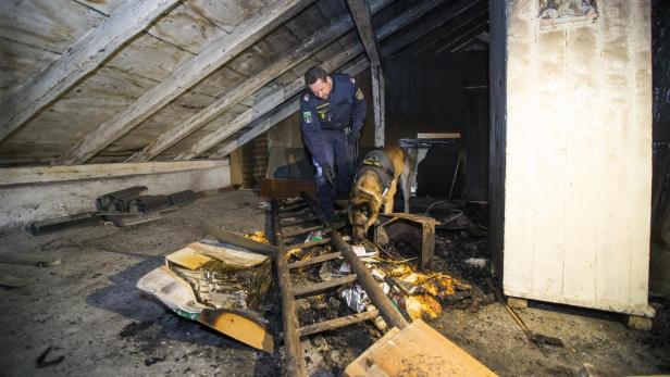Die Spürhunde der Polizei fanden neuerlich keine Hinweise auf Brandbeschleuniger