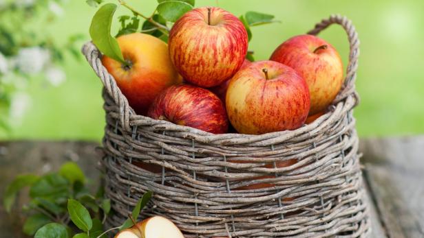 Manche vermuten, der bittere Geschmack von Apfelkernen soll uns auf seine Gefährlichkeit hinweisen und vor dem Genuss warnen.